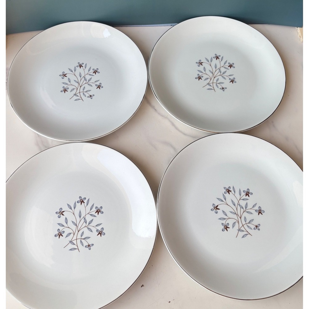 Salem International Ironstone Whimsey Dinner Plates Set of 4 Floral England 10"